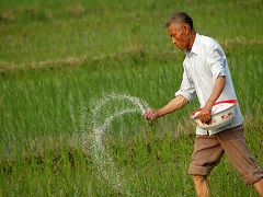 加強(qiáng)生物固氮科技創(chuàng)新，助力耕地資源保護(hù)與耕地質(zhì)量提升