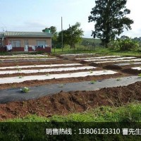 菜地防草布