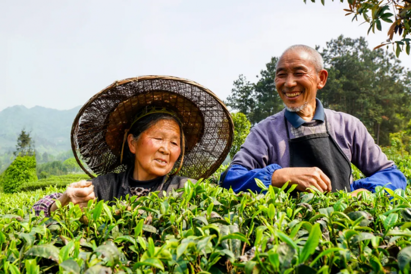 農(nóng)業(yè)國際貿(mào)易高質(zhì)量發(fā)展基地首場片區(qū)交流活動成功舉辦