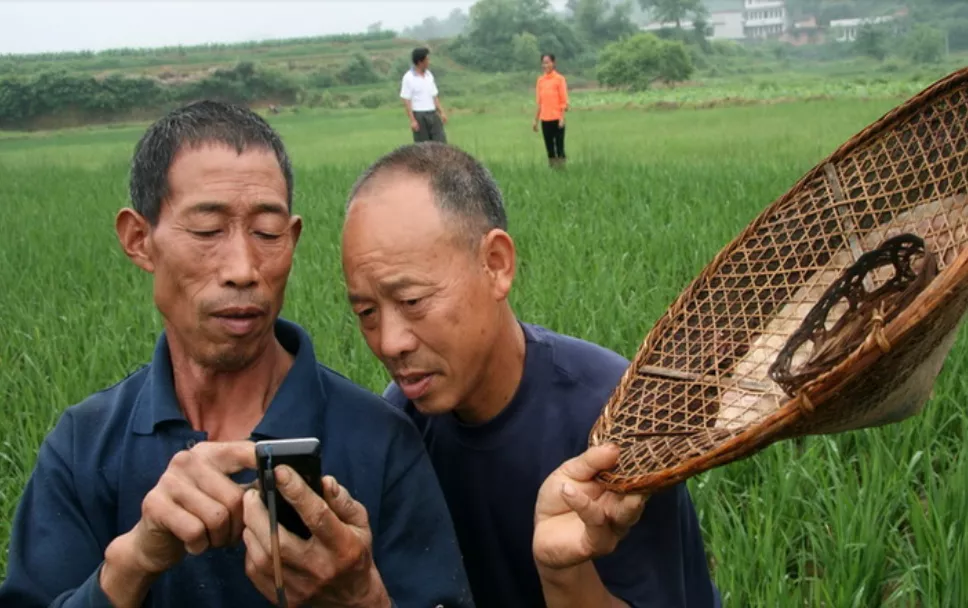 白描 苑鵬：現代化進程中我國農民全面發展的痛點