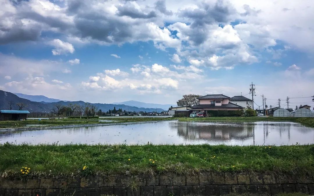 日本百年芥末農場：精耕單品，專注美食，以靜制動