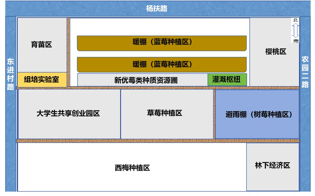 鄉村行·看振興 | 掛職博士實干謀振興